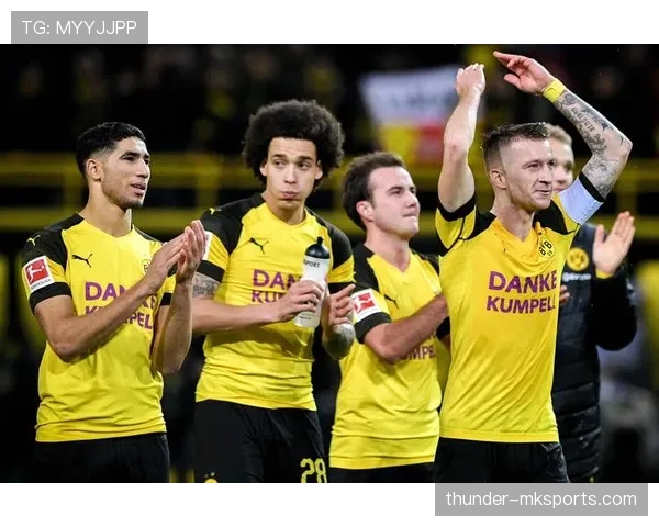 多特蒙德再添新援，持续强化阵容竞争力