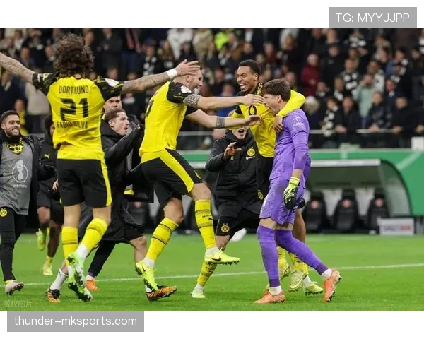 多特蒙德本赛季德甲表现稳健，竞争力持续提升