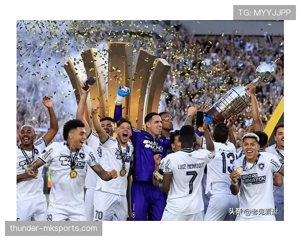 南美解放者杯最新赛事声明与官方回应